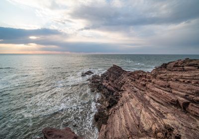 Rock Row Landscape