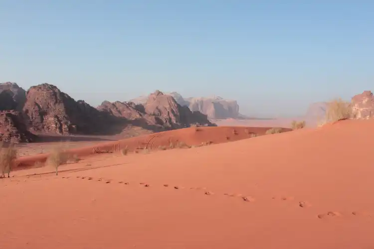 لواء القويرة