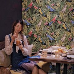 新时泰(南翔印象城MEGA店) User Photo