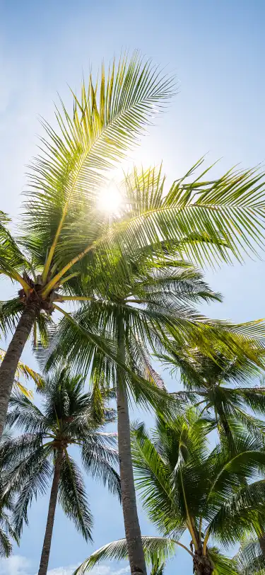 Beach Hotels in Kedah, Malaysia