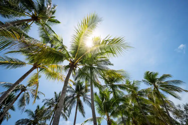 Hoteles con Wifi en Kedah, Malasia