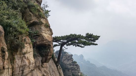 沿途溯溪而上，風景優美，每隔一段距離就有瀑布，原始次生林，天