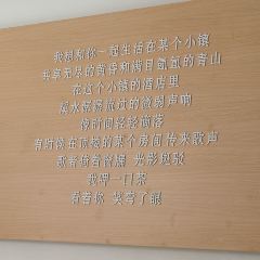 一度茶室張用戶圖片