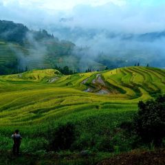 青莲居河景饭店 User Photo