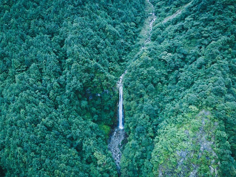 龍谷風景区