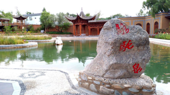 Camel Spring