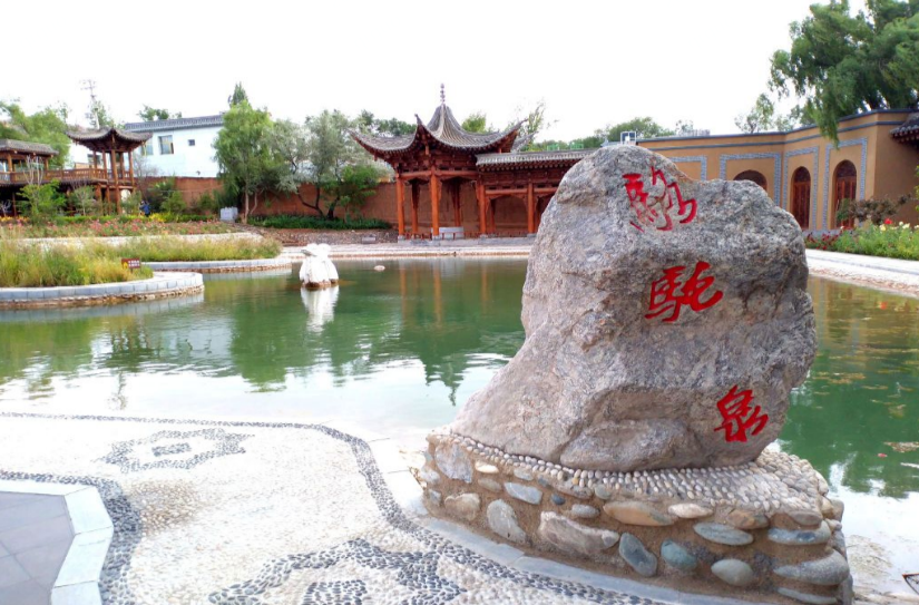 Camel Spring