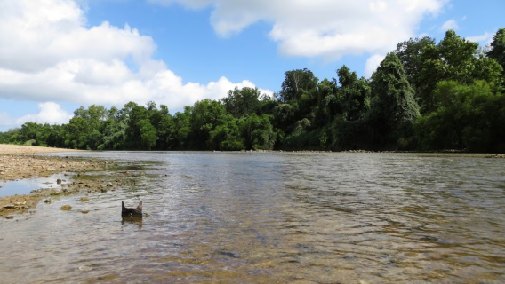 Hollywood Bottom Park