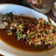 春天里餐厅·丽江特色美食(束河店) User Photo