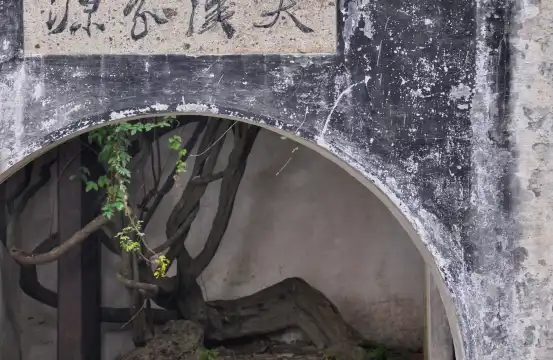 鄰近青藤書屋的酒店