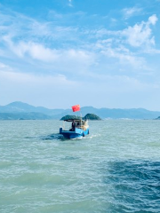 寧海湾海を追いかけるクラブ