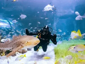 The National Aquarium Abu Dhabi