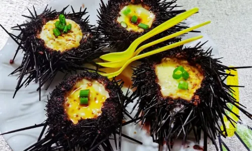 鱼当家