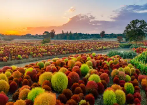 Huakai Haishang Ecological Park