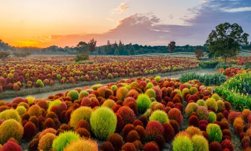 Huakai Haishang Ecological Park