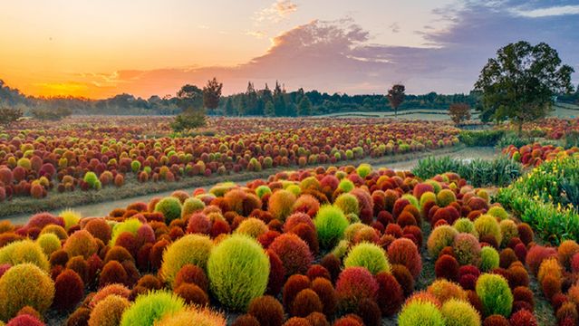 Huakai Haishang Ecological Park