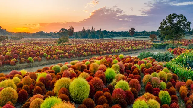 Huakai Haishang Ecological Park