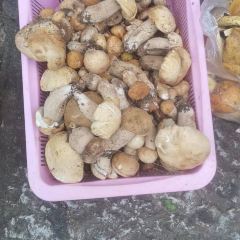 LI JIANG THERE IS A POT ảnh của người dùng