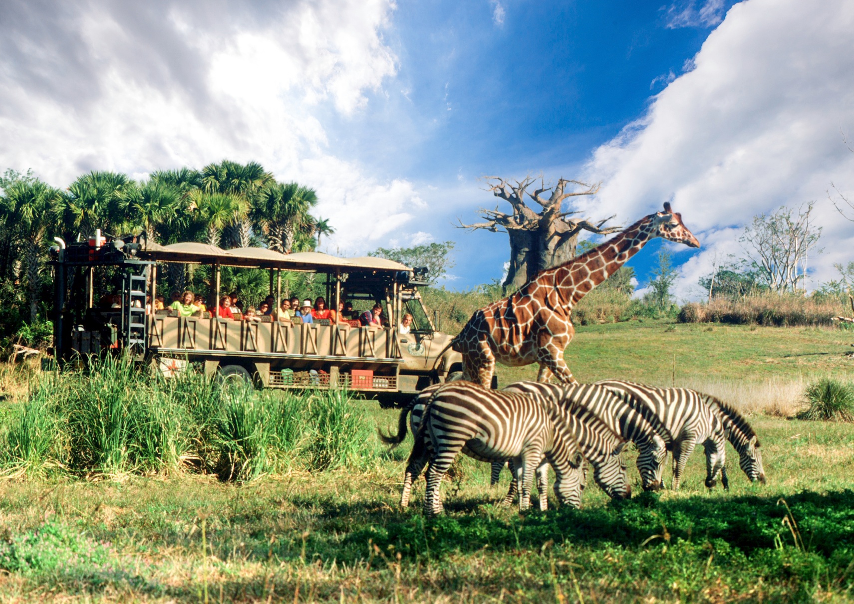 Disney s Animal Kingdom Theme Park Photos Map Reviews 2024