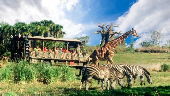 Disney's Animal Kingdom Theme Park