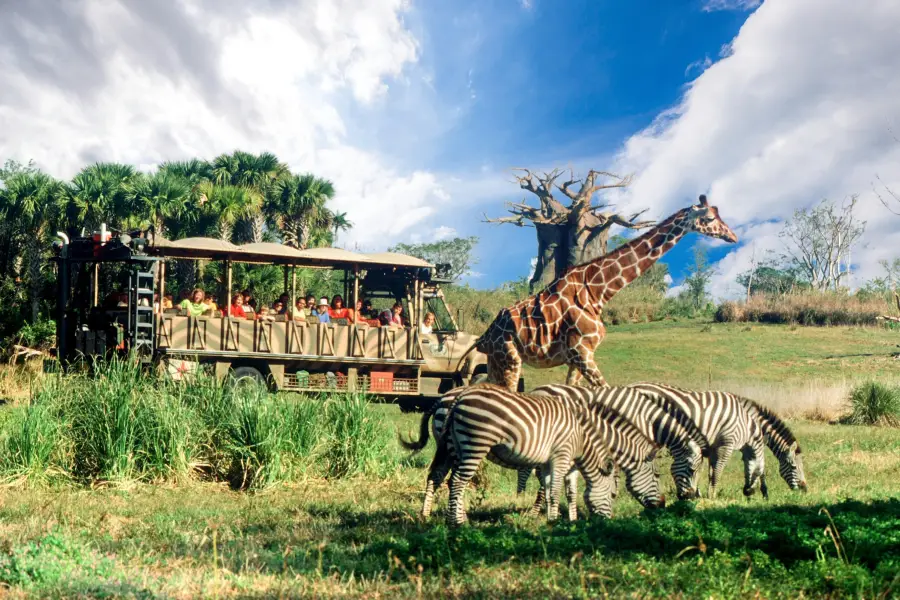 Disney's Animal Kingdom Theme Park