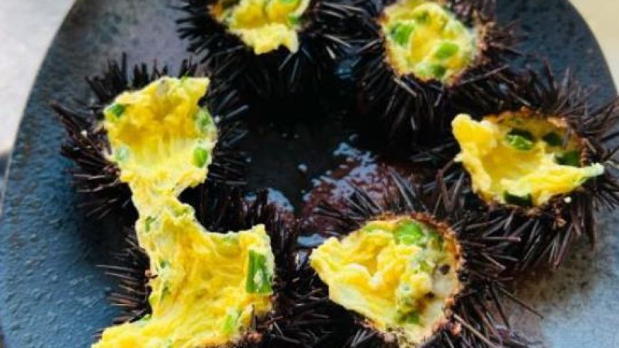 海先生餐厅·连锁海鲜大排档(青澳湾宝藏店)