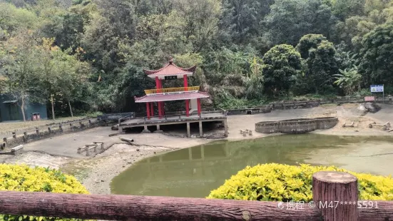 紫雲公園