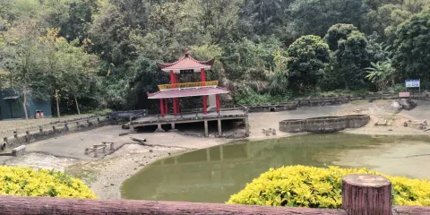 紫雲公園