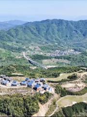 龍岩雲頂茶園