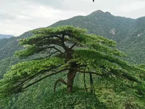 鬼子寨風景區