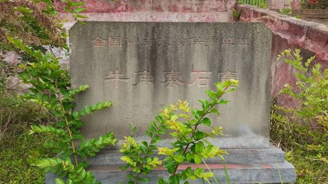 Horn Village Grand Buddha