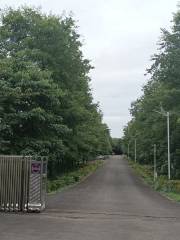 中國科學院華西亞高山植物園