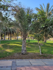 Andalus Garden