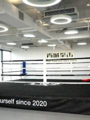 青城拳擊Boxing club