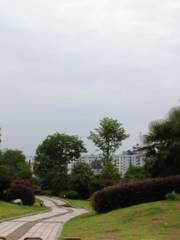Qingquan Park