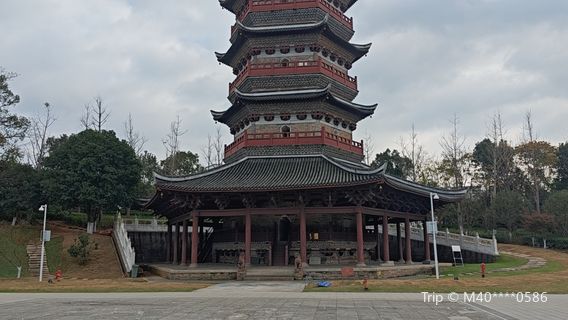 หอคอยแห่งความไร้เหตุผล