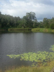 Greenwood Lakes Park