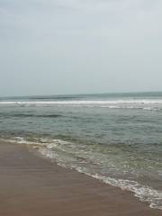 Baga Beach goa