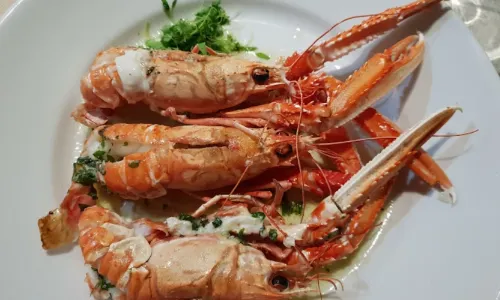 Gandolfi Fish