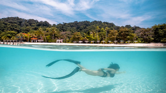 Snorkeling or Scuba Diving in Langkawi