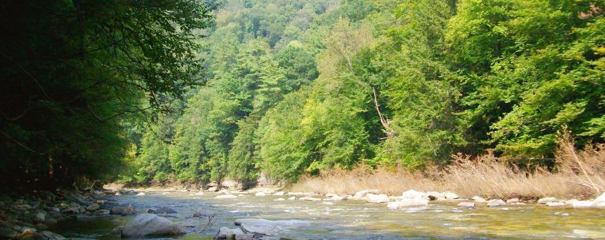 Worlds End State Park