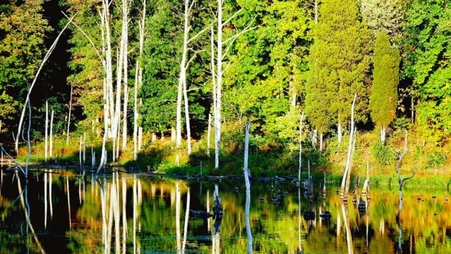 Black Hill Regional Park