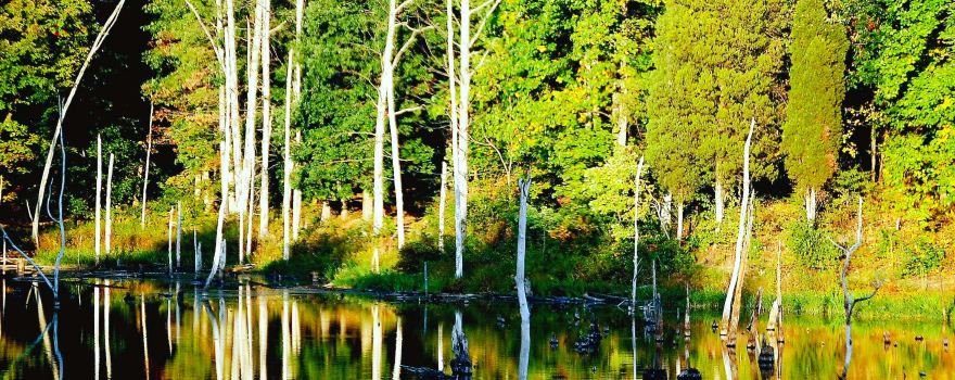 Black Hill Regional Park