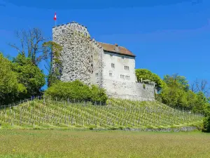 Schloss Habsburg