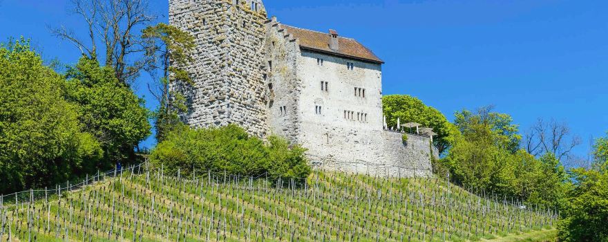 Habsburg Castle
