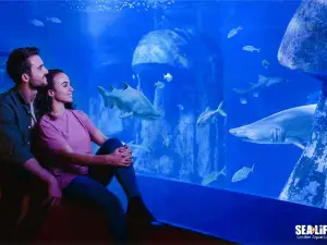 SEA LIFE London Aquarium