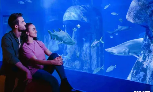 SEA LIFE London Aquarium