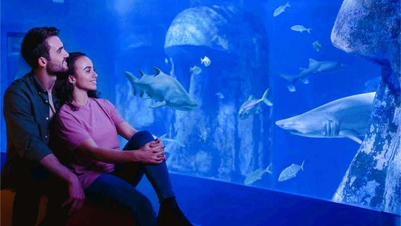 Лондонский аквариум