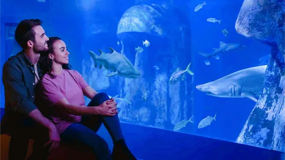 SEA LIFE London Aquarium