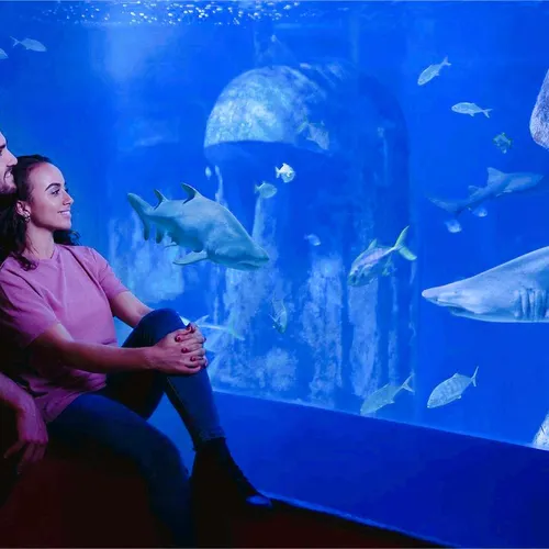 SEA LIFE London Aquarium